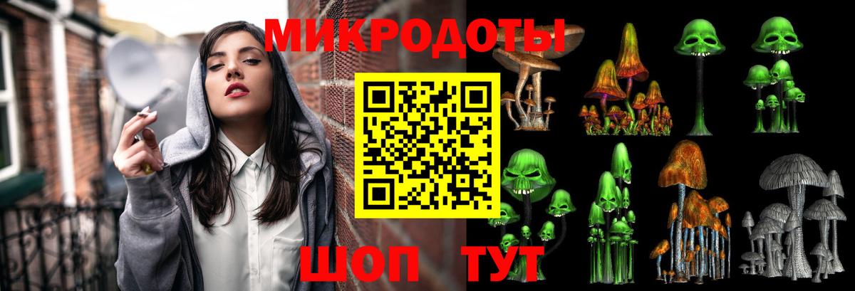 Псилоцибиновые грибы GOLDEN TEACHER  Вход с VPN  Алатырь 